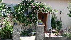 Überarbeitete Eichentür